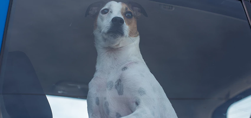 Car Lockout Solutions in Vacaville, California